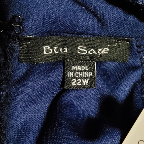 Blue Sage Stretch Navy Blue Embroidered Lace Sequins Keyhole Neckline Size 22W - Picture 7 of 10